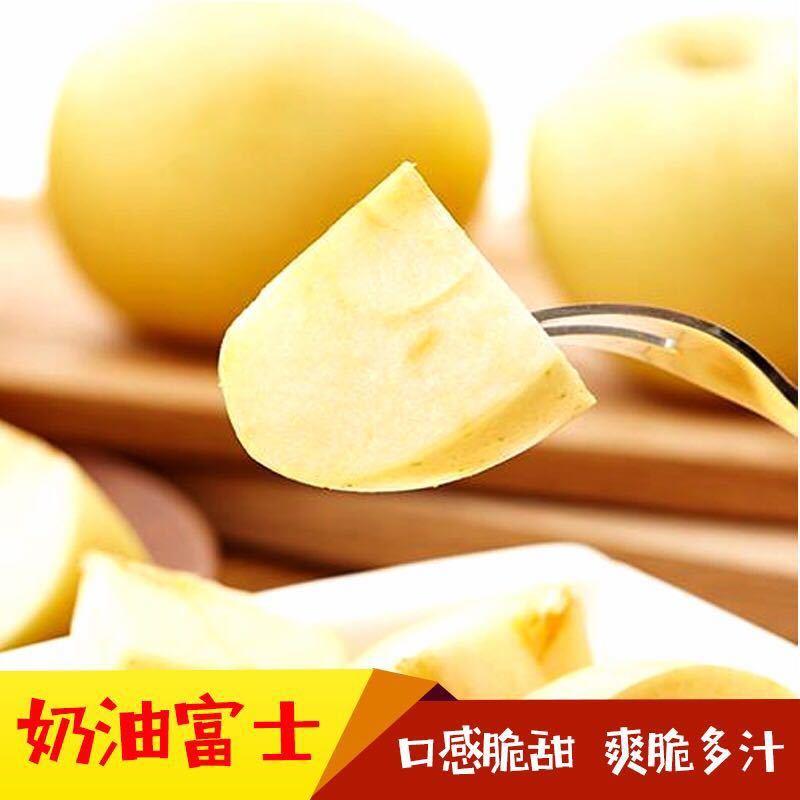【产地直】【一件代发】脆甜多汁奶油富士苹果新鲜糖心水果