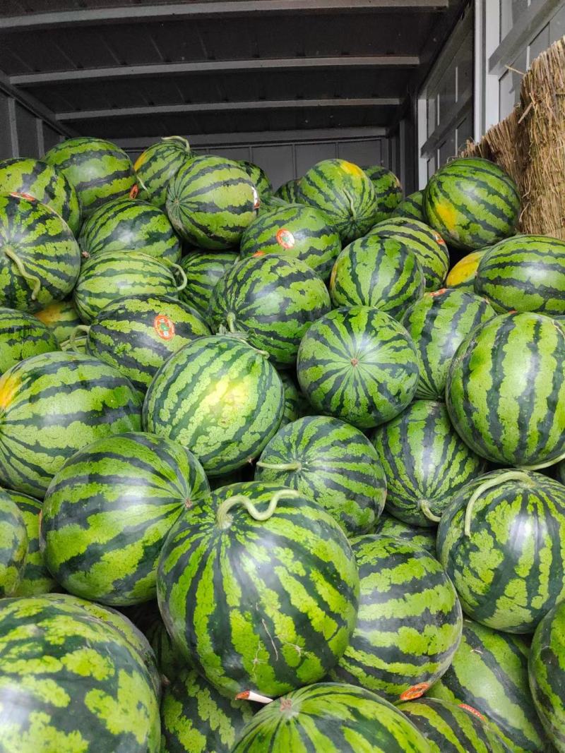《推荐》精品甜王西瓜山东甜王大棚甜王西瓜包熟包甜