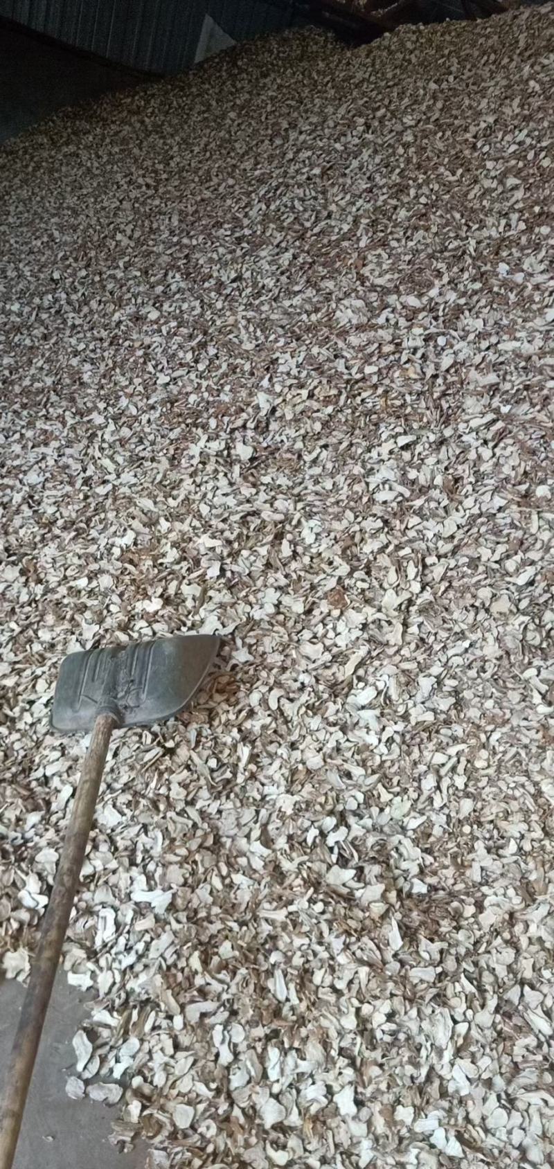 白术片