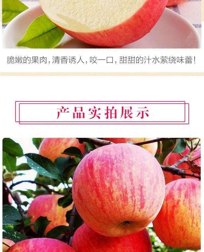 【产地销】红将军苹果脆甜现摘农家果园新鲜采摘脆嫩多汁