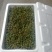 鲁南花椒大红袍鲜花椒色正味纯价格不高