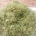 鲁南花椒大红袍鲜花椒色正味纯价格不高