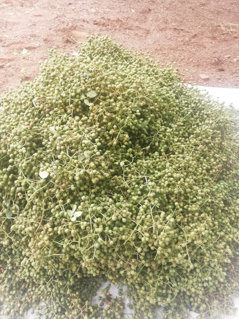 鲁南花椒大红袍鲜花椒色正味纯价格不高