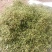 鲁南花椒大红袍鲜花椒色正味纯价格不高