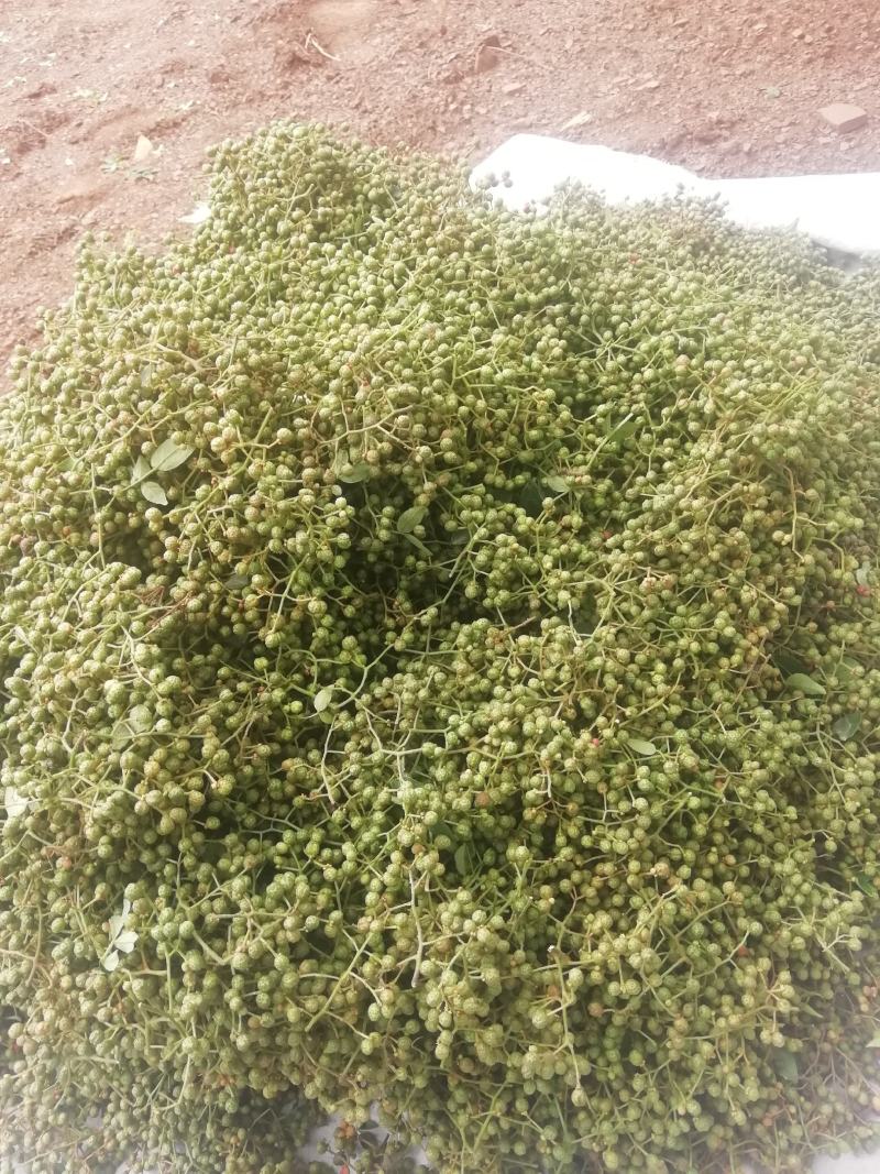 鲁南花椒大红袍鲜花椒色正味纯价格不高
