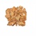 菝葜（金刚藤,山梨儿,铁刷子,铁菱角,金刚刺,金刚头,