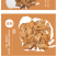 菝葜（金刚藤,山梨儿,铁刷子,铁菱角,金刚刺,金刚头,