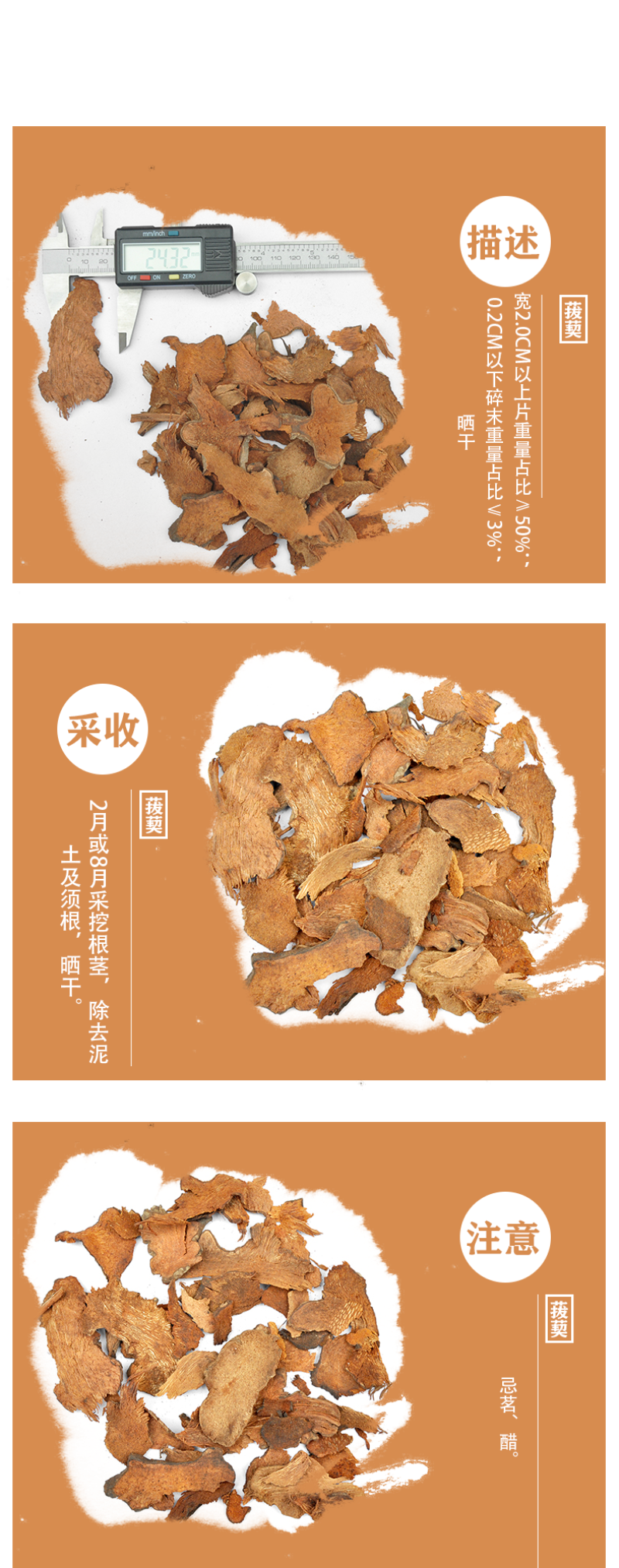 菝葜（金刚藤,山梨儿,铁刷子,铁菱角,金刚刺,金刚头,