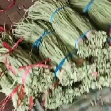 长豆角即将大量上市，长期有货，价格不贵，质量很好