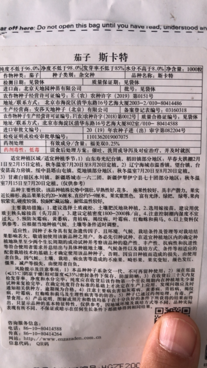 荷兰进口绿萼长茄种子高产斯卡特布利塔类型高产抗病