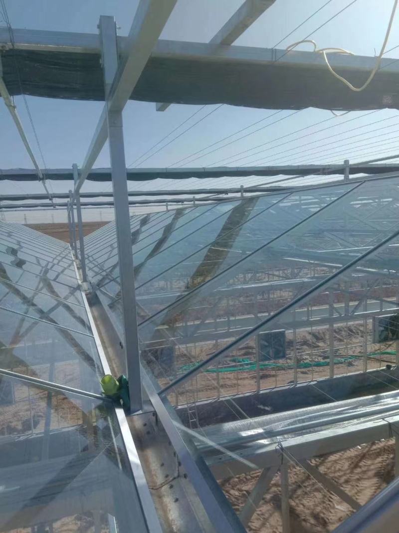 玻璃温室薄膜温室阳光板温室厂家
