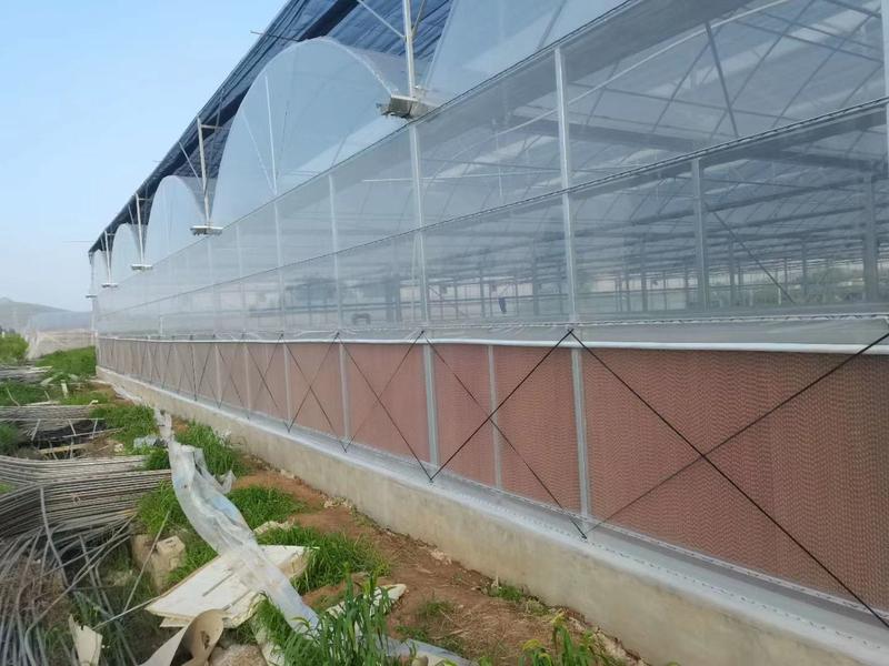 玻璃温室薄膜温室阳光板温室厂家