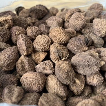 联系我请说在一亩田上看到的，西双版纳当地阳春砂（砂仁）