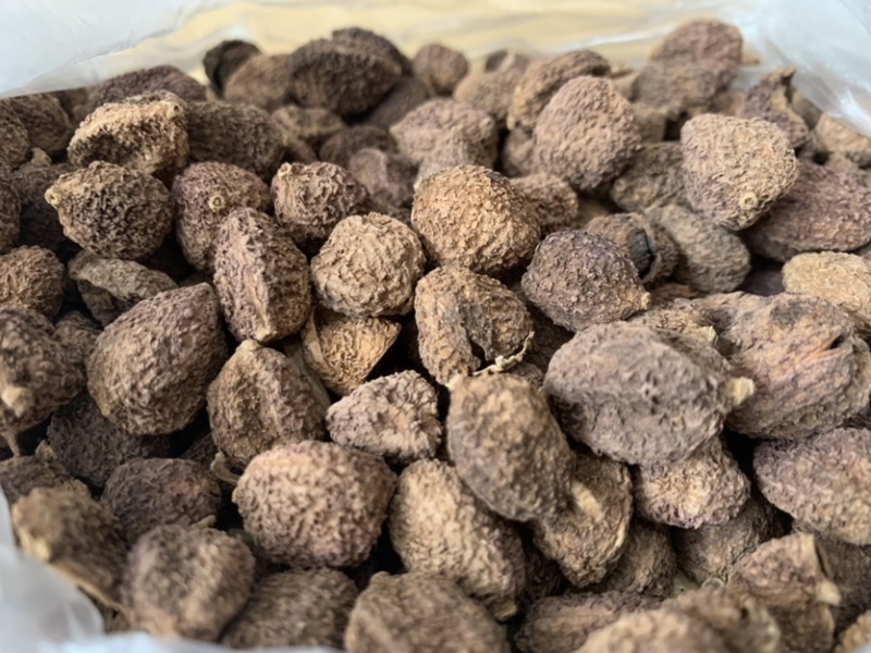 联系我请说在一亩田上看到的，西双版纳当地阳春砂（砂仁）