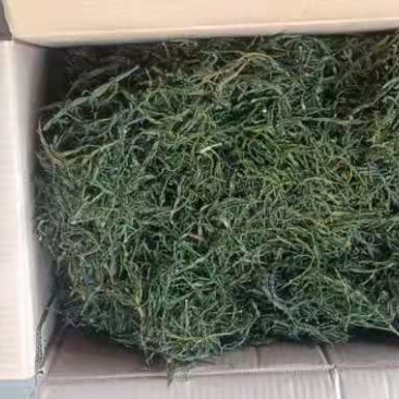螃蟹脚小寄生干货一手货