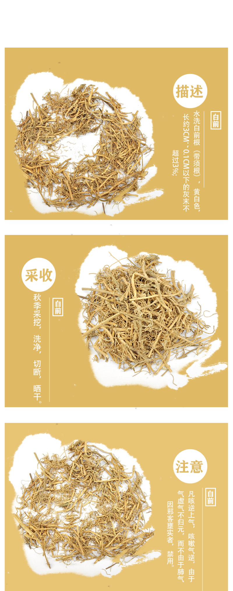 白前石蓝,嗽药,鹅管白前,竹叶白前,草白前,毛白前,红前