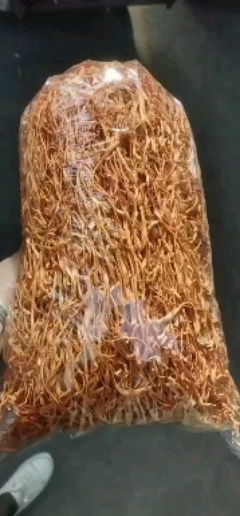 虫草花产地直销正品包邮1000g500g