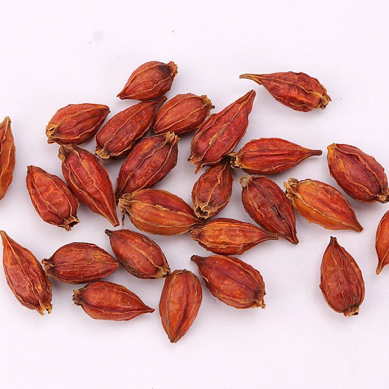 栀子中药栀子粉面黄栀子栀子花茶栀子泡水栀子