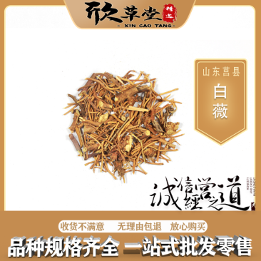 白薇别名：葞,春草,芒草,白微,白幕,薇