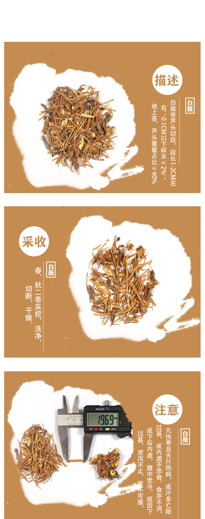 白薇别名：葞,春草,芒草,白微,白幕,薇