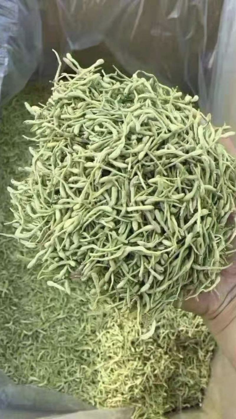 山东金银花基地新货金银花，直发