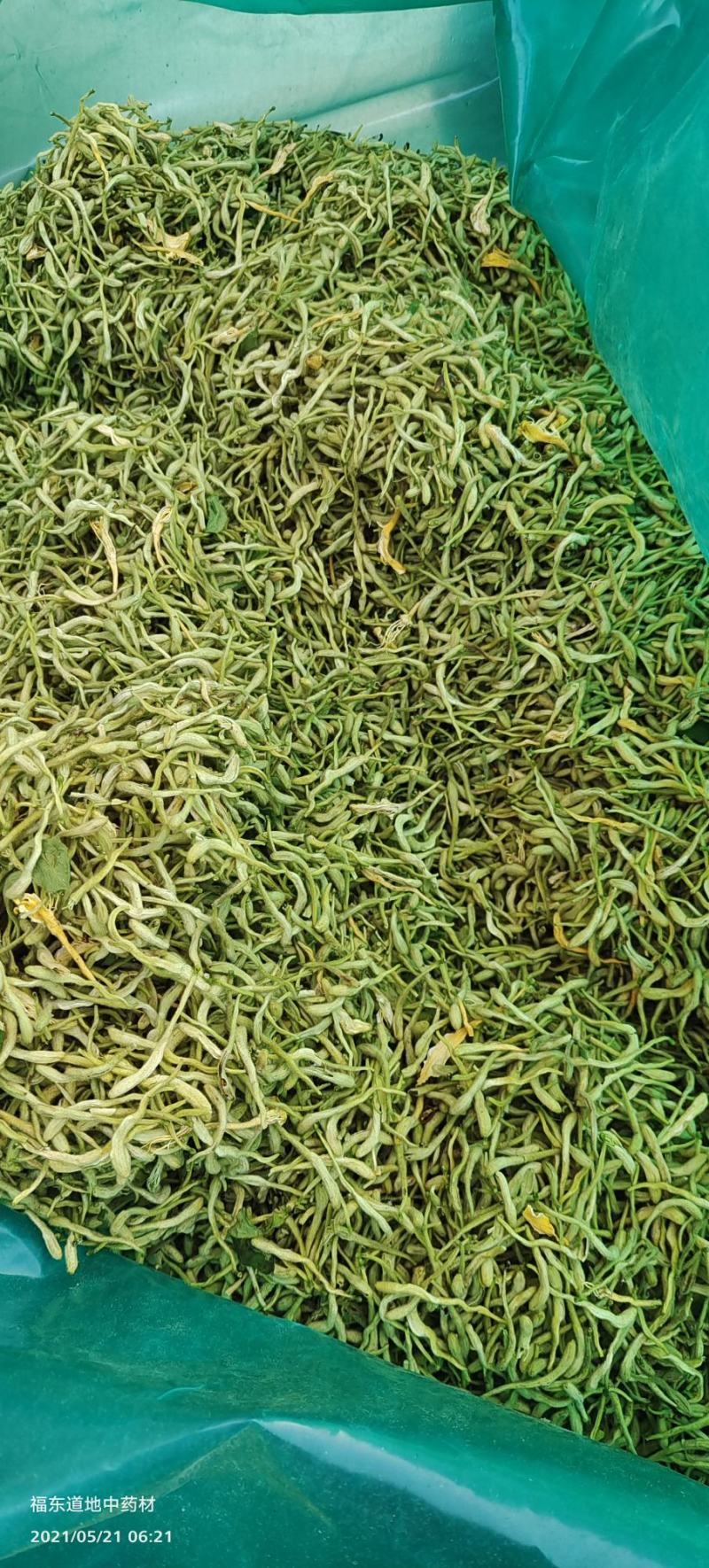 山东金银花基地新货金银花，直发