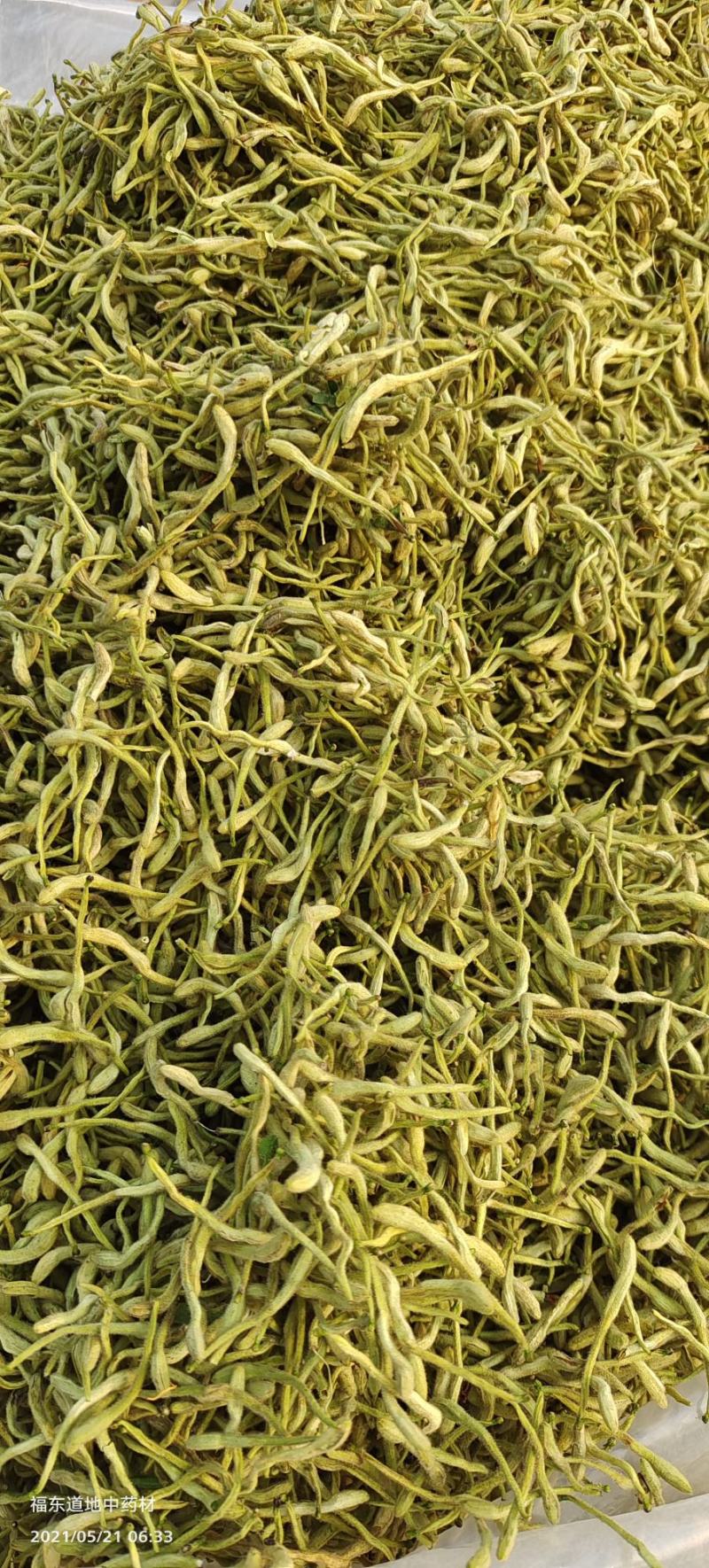 山东金银花基地新货金银花，直发