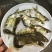 缩骨大头鱼苗