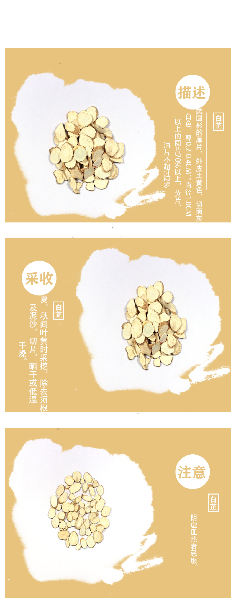 白芷别名：川白芷,祁白芷,芷,芳香,苻蓠