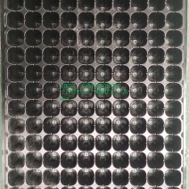 200穴
