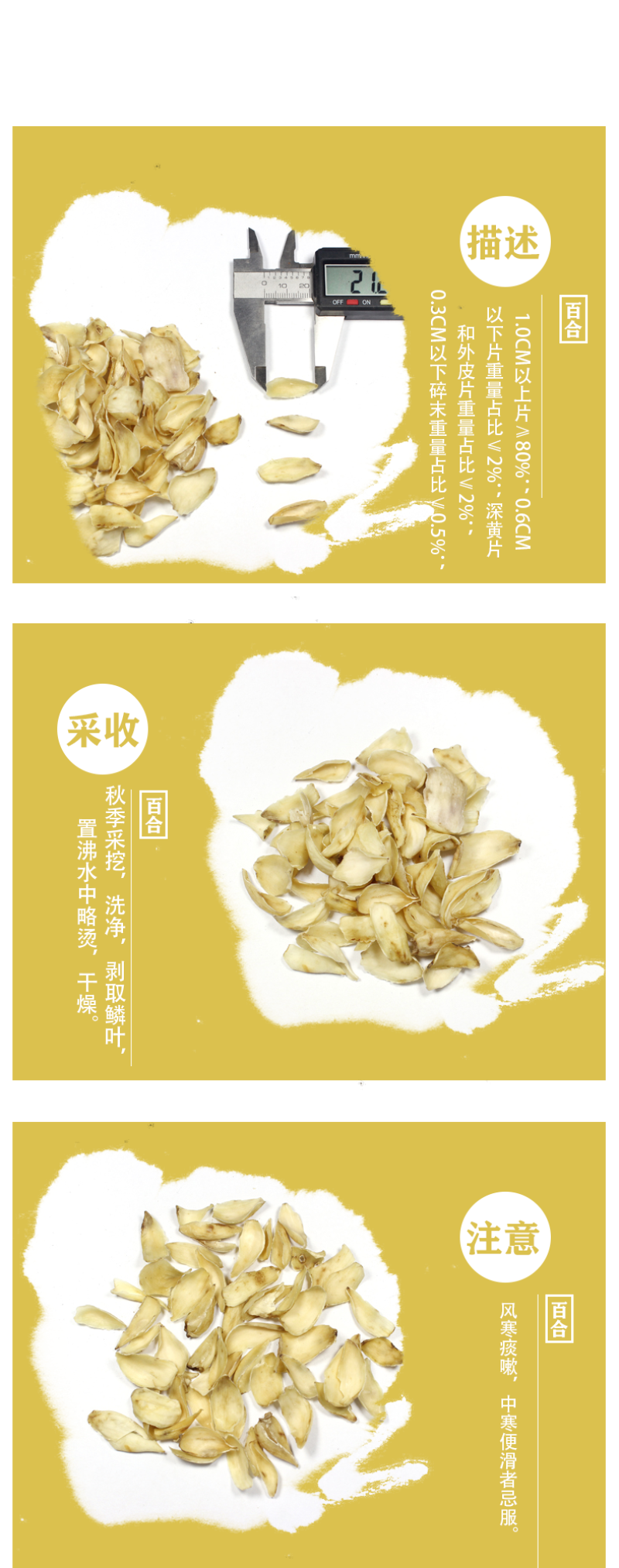 百合，重迈,中庭,重箱,摩罗,强瞿,百合蒜,蒜脑薯