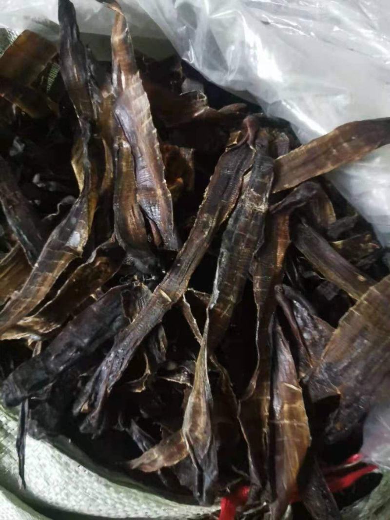 大量地龙长期提供货每天一顿