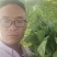 红薯苗，优质脱毒红薯苗，品种展示