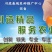 耐热黄瓜种子越夏密刺黄瓜种子油亮型短把强雌性黄瓜种子