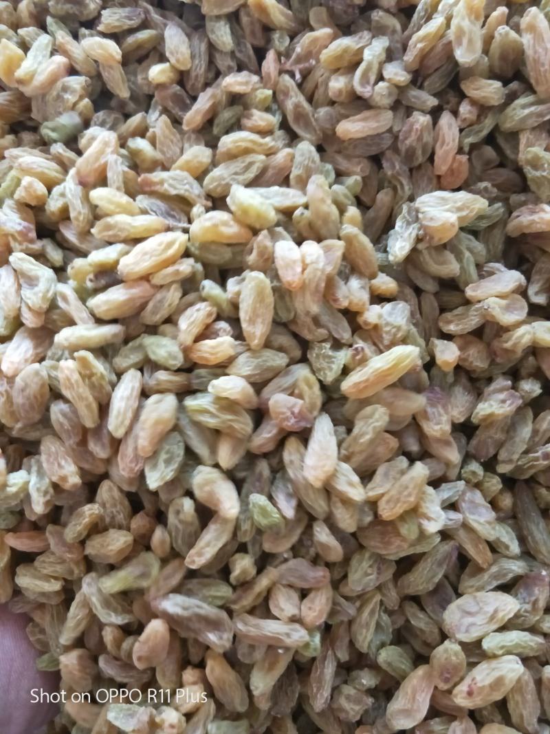 新疆葡萄干十公斤一箱绿葡干代发多规格零食加工零售大量现货