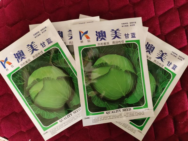 澳美莲花白种子奥奇丽甘蓝种子扁球型包菜种子奥奇娜蔬菜种子