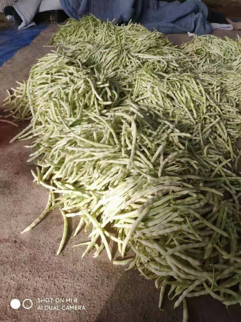 日本三红胡萝卜，白芸豆大量上市了，价格不高，包装齐全
