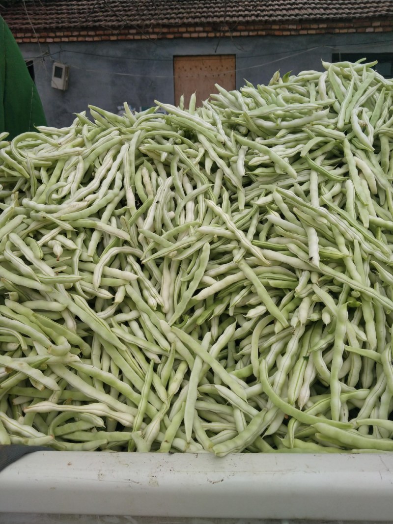 日本三红胡萝卜，白芸豆大量上市了，价格不高，包装齐全