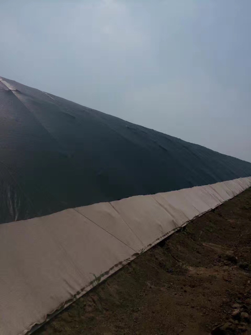无纺布高端无纺布大棚棉被抗老化无纺布厂家直销