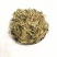 天然野生半边莲新鲜新货包邮半边花细米草中药材无硫中草药店