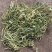 天然野生半边莲新鲜新货包邮半边花细米草中药材无硫中草药店