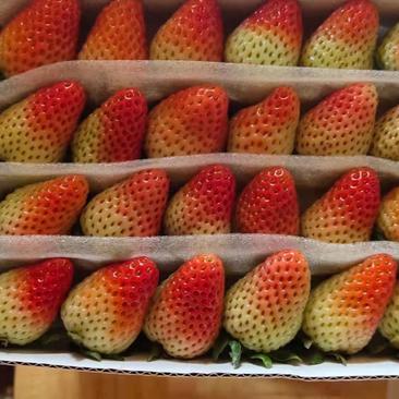 双流小红盒，十盒一大板，云南高原蒙特瑞四季草莓，供货稳定