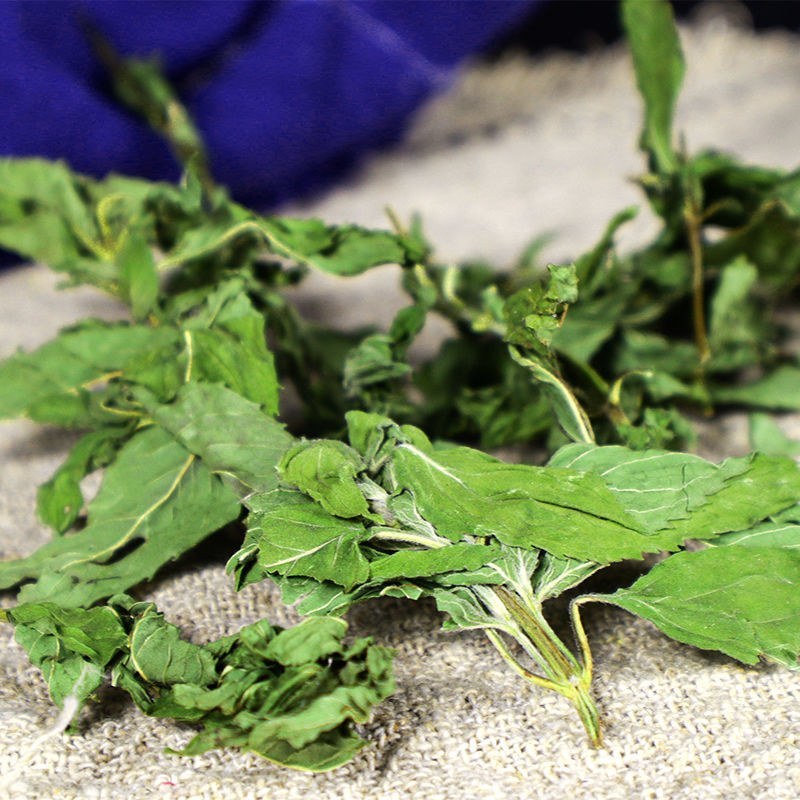 薄荷叶茶新鲜食用干薄荷泡水薄荷叶特级干薄荷散装花草