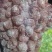 鲜蒜，脱水蒜，蒜米料，大混迹，精品大蒜，需要详谈，