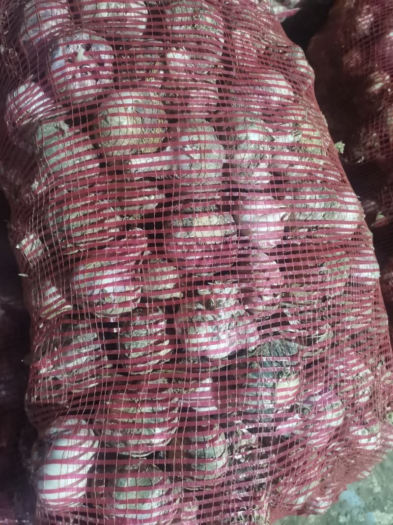 鲜蒜，脱水蒜，蒜米料，大混迹，精品大蒜，需要详谈，