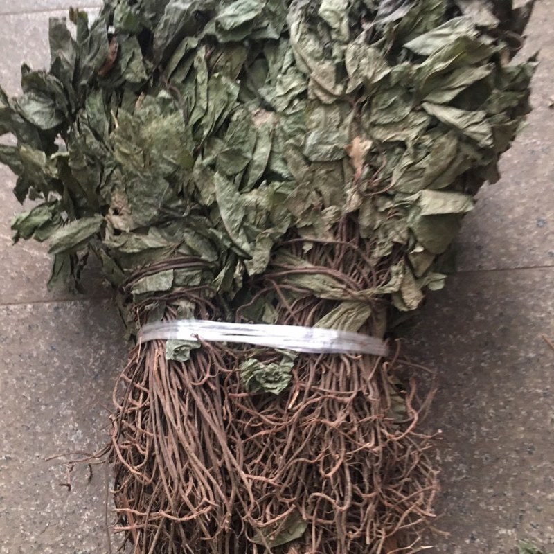 不出林中药材矮地茶野生叶底珠叶下红热销紫金牛500g