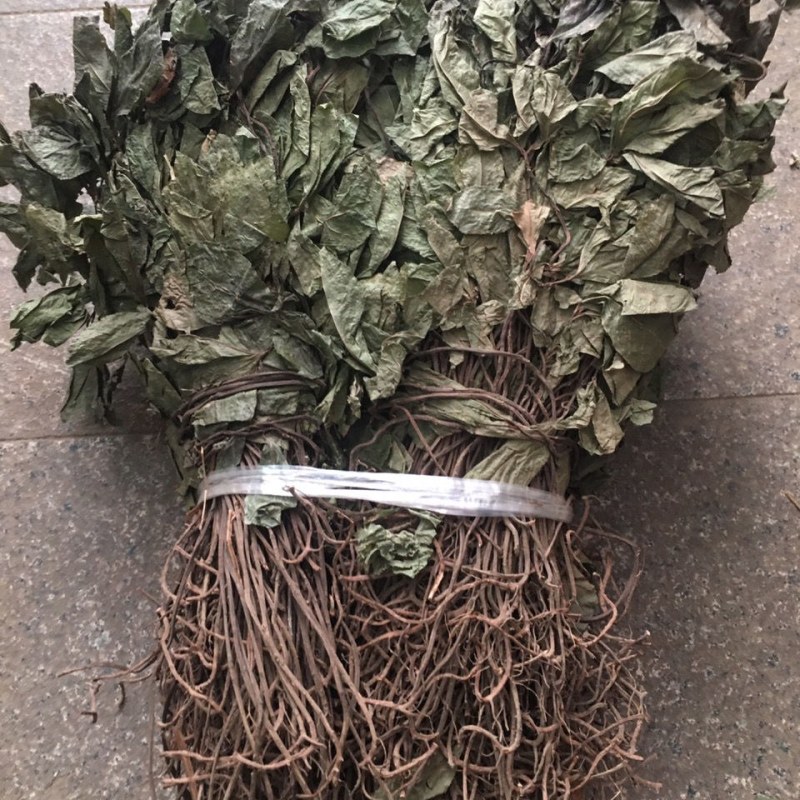 不出林中药材矮地茶野生叶底珠叶下红热销紫金牛500g