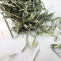 无硫穿心莲中药材500克新货川心连苦胆草穿心莲中草药