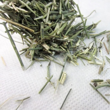 无硫穿心莲中药材500克新货川心连苦胆草穿心莲中草药