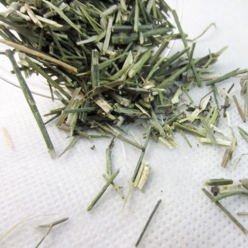 无硫穿心莲中药材500克新货川心连苦胆草穿心莲中草药